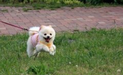 �¾������úӱ������öľ�,ÿ����ע���򲻵�