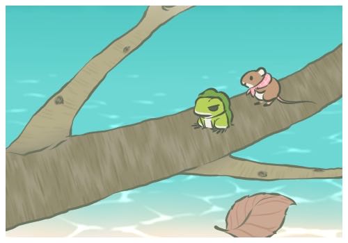 һ�ζ�����©�����ǵ�С��ȸ