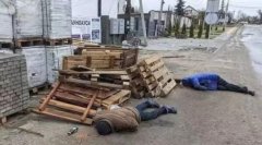 泽连斯基希望彻查布查事件,什么是基辅布查事件?