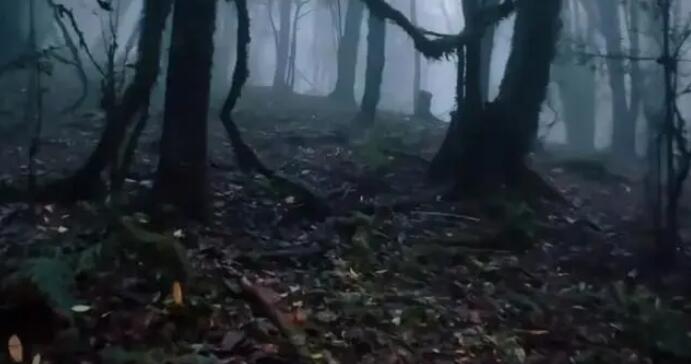 ����ɽ����������ȫ��ʾ