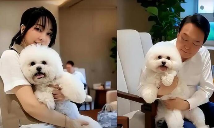 韩国前第一夫人金建希被拘押